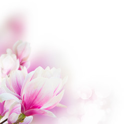 Similar image 13089204