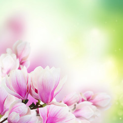 Similar image 13089205