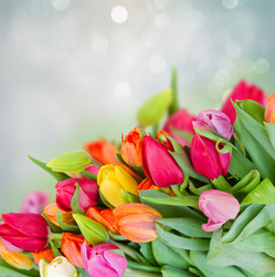 Similar image 13089207