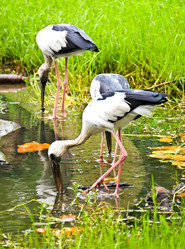 Similar image 13104620