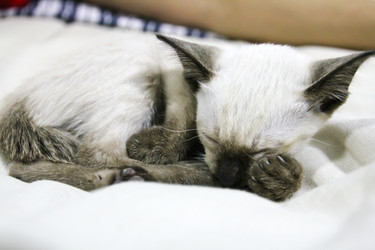 Similar image 13090293