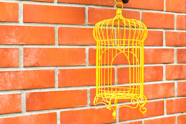 Similar image 13095115