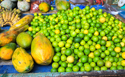 Similar image 13104840