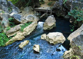 Similar image 13090336