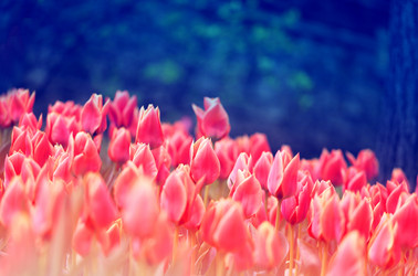 Similar image 13077975