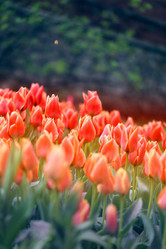 Similar image 13077996