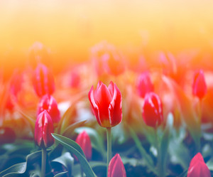 Similar image 13077997