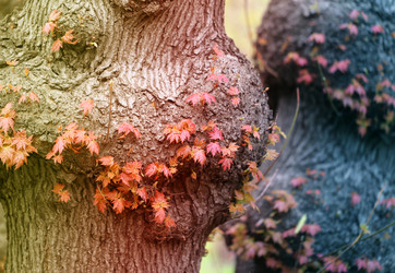 Similar image 13078020