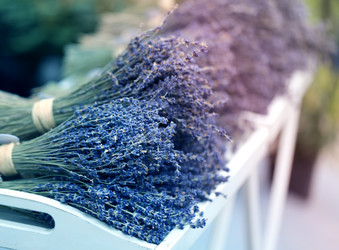 Similar image 13078024