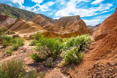 Similar image 13097097