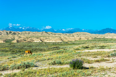 Similar image 13097108