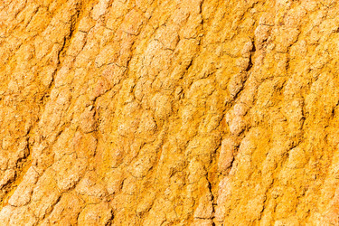 Similar image 13097110