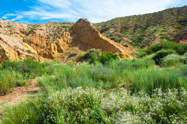 Similar image 13097115