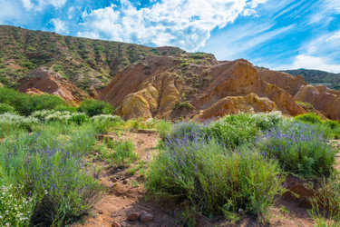 Similar image 13097116