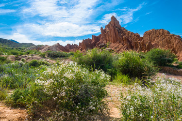 Similar image 13097119