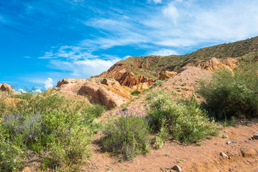 Similar image 13097121