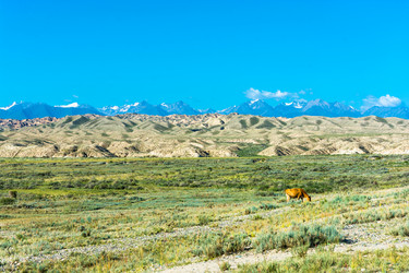 Similar image 13097129