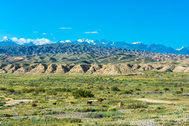 Similar image 13097130