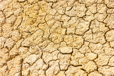 Similar image 13097134