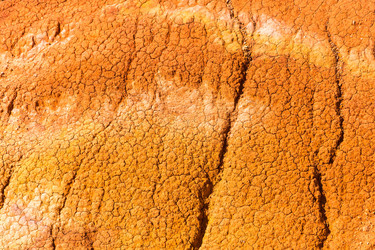 Similar image 13097138