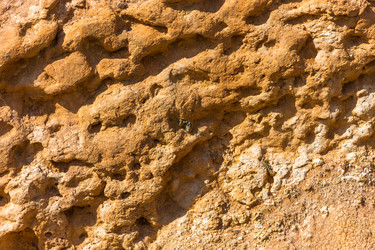 Similar image 13097139