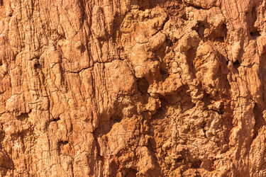 Similar image 13097141