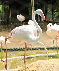 Similar image 13104821