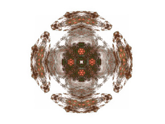 Similar image 13081586