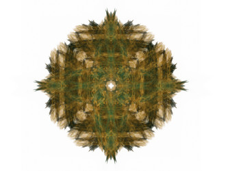 Similar image 13105451