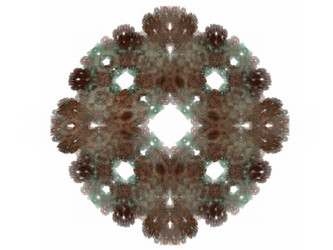 Similar image 13105708