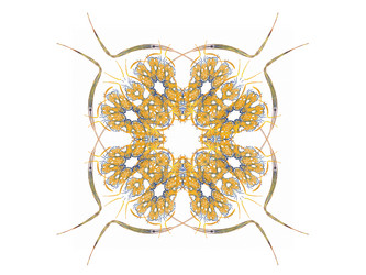 Similar image 13098612