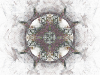 Similar image 13104876