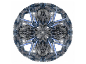 Similar image 13071006