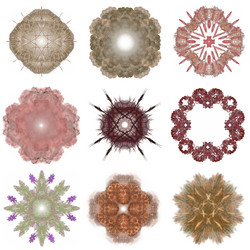 Similar image 13082504