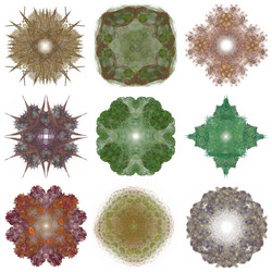 Similar image 13082505