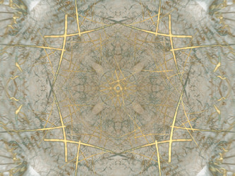 Similar image 13095036