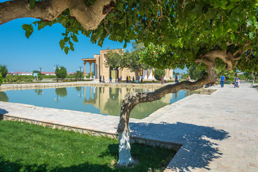 Similar image 13097158