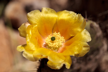 Similar image 13106101