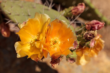 Similar image 13106122