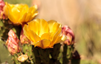 Similar image 13106124