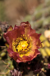 Similar image 13105847