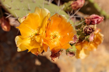 Similar image 13105891