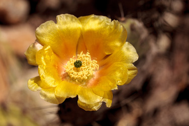 Similar image 13105849