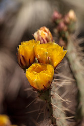 Similar image 13105850