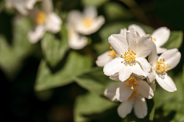 Similar image 13105911