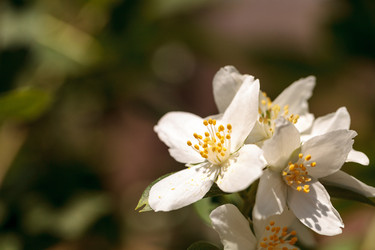 Similar image 13105853