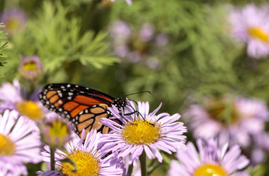 Similar image 13105912