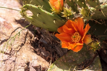 Similar image 13105857