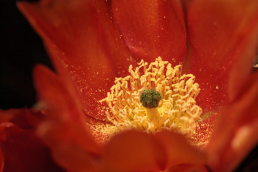 Similar image 13105859