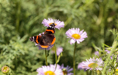 Similar image 13105951